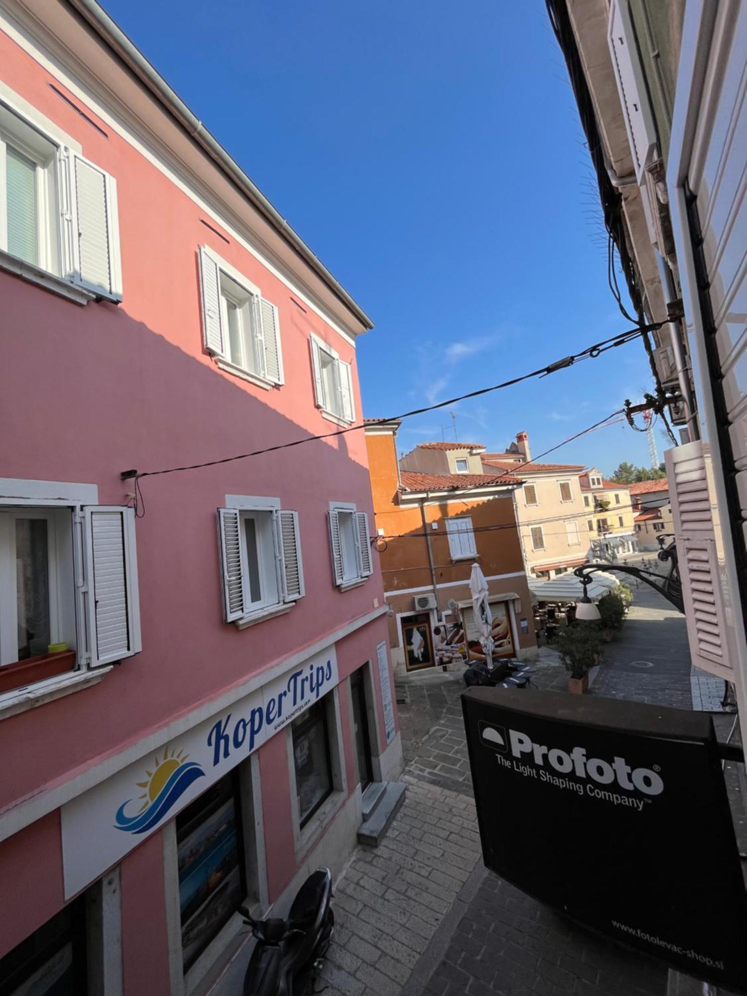 Apartman Collie's Place